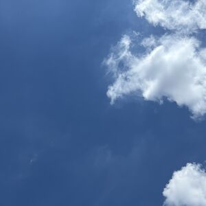 IMG_1940