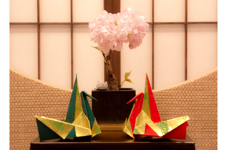 土呂で人気の美容院をお探しならjaponaiserieへお越しください