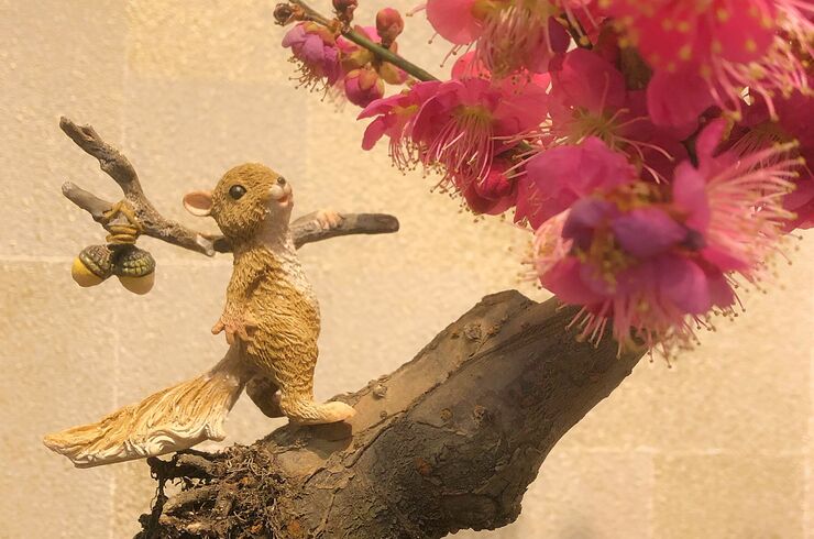 土呂で人気の美容院をお探しならjaponaiserieへお越しください