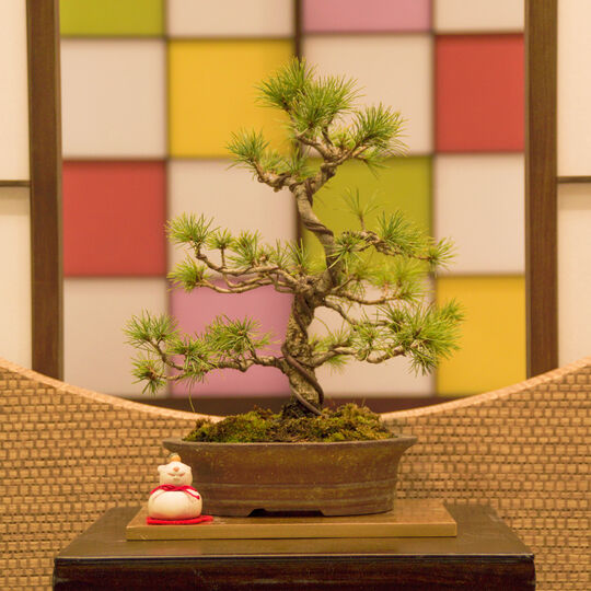 土呂で人気の美容院をお探しならjaponaiserieへお越しください