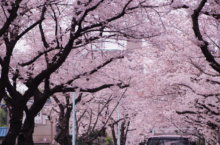DSC09465.jpg　