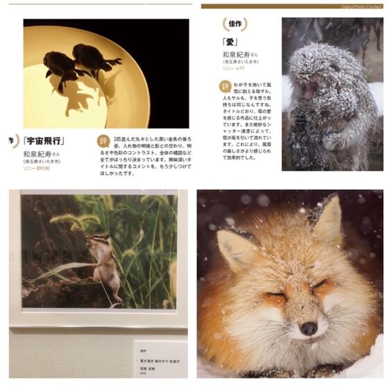 フォトコンテスト