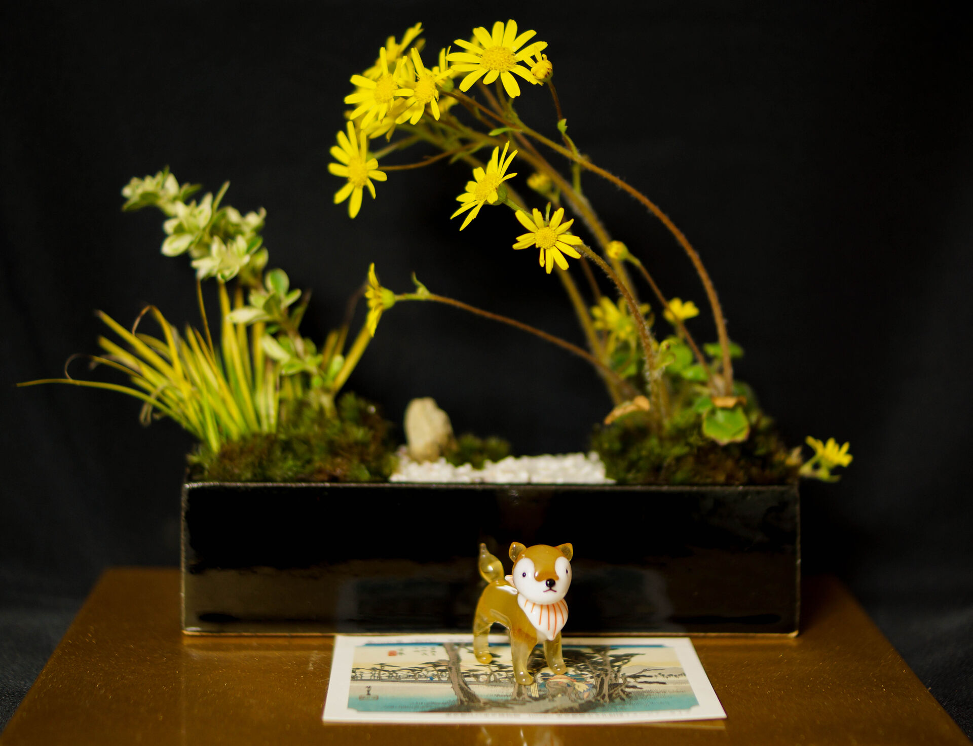 サンプルテキスト