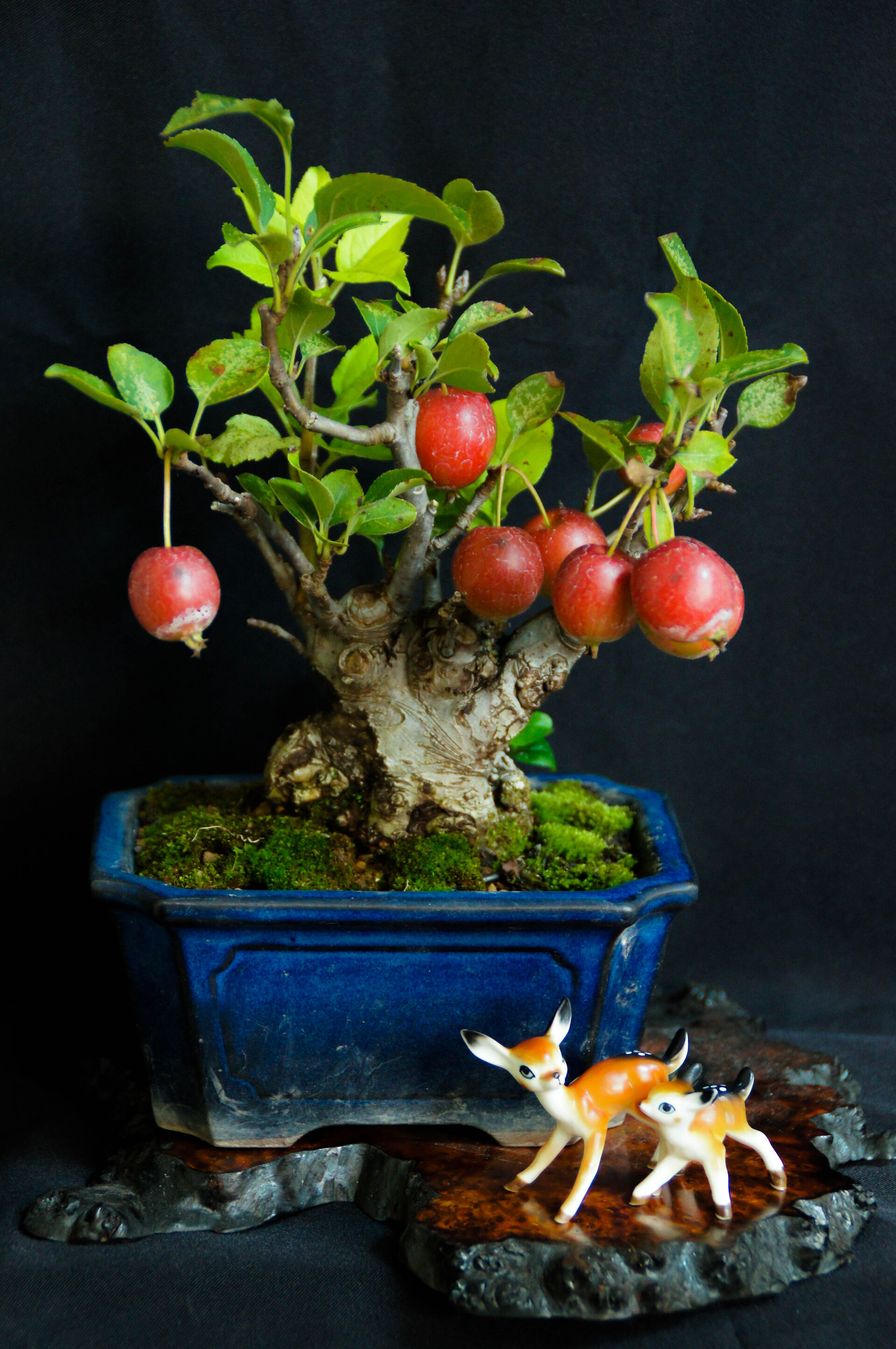 サンプルテキスト